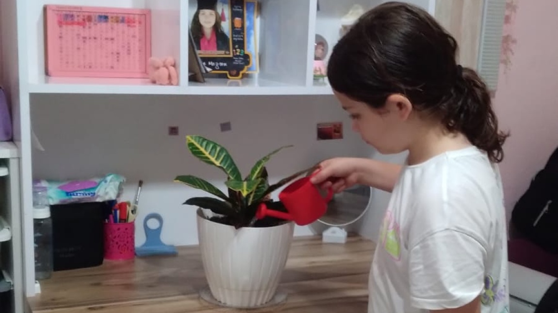 Ahenk Projesi Yaşam Becerileri Aile Hayatım Etkinlikleri
